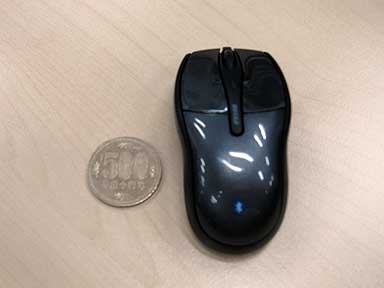 mouse.jpg